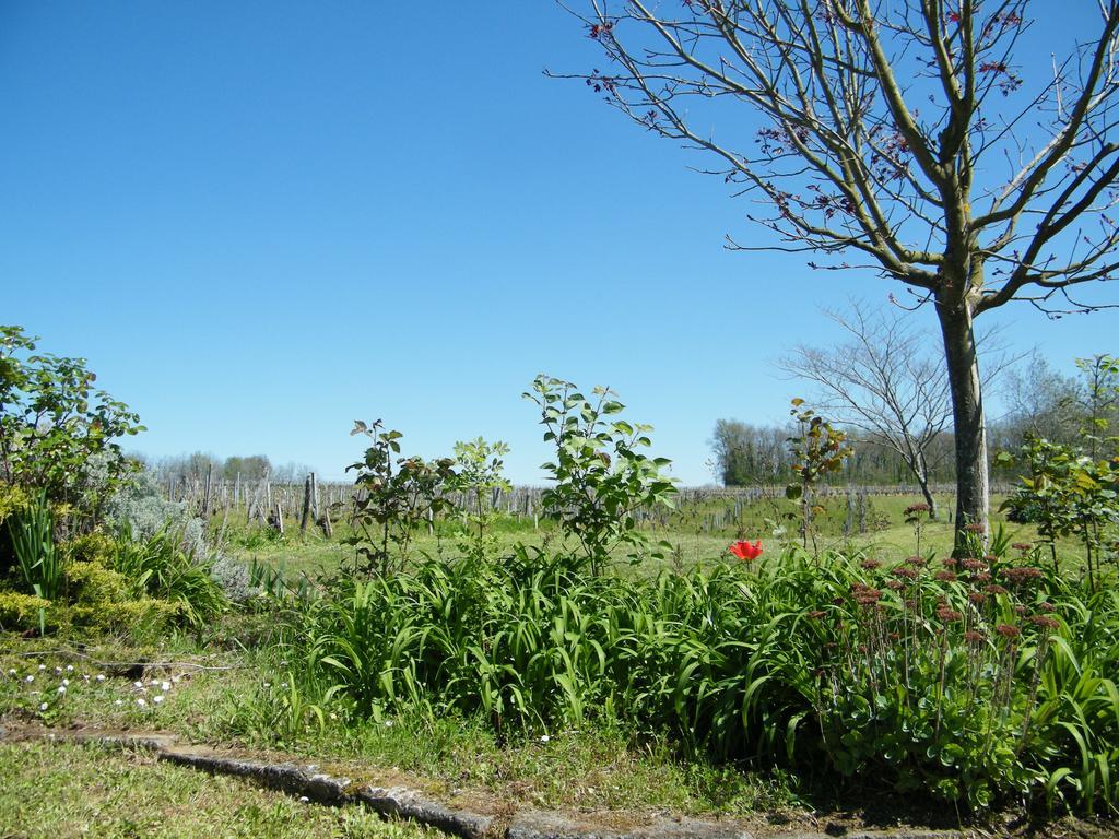 Hébergement de vacances Clos Vieux Rochers Vineyard Puisseguin
